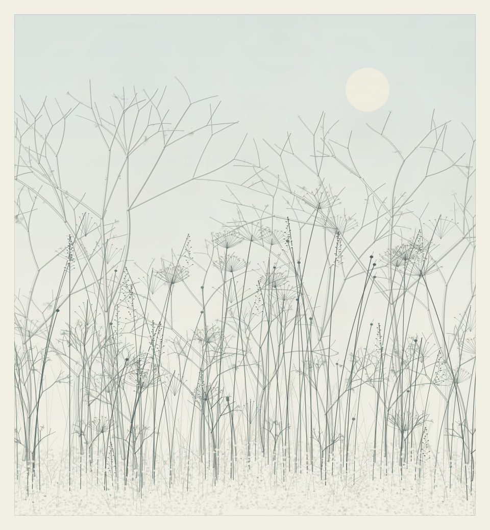 Bare frosted stems in the winter version of garden 001